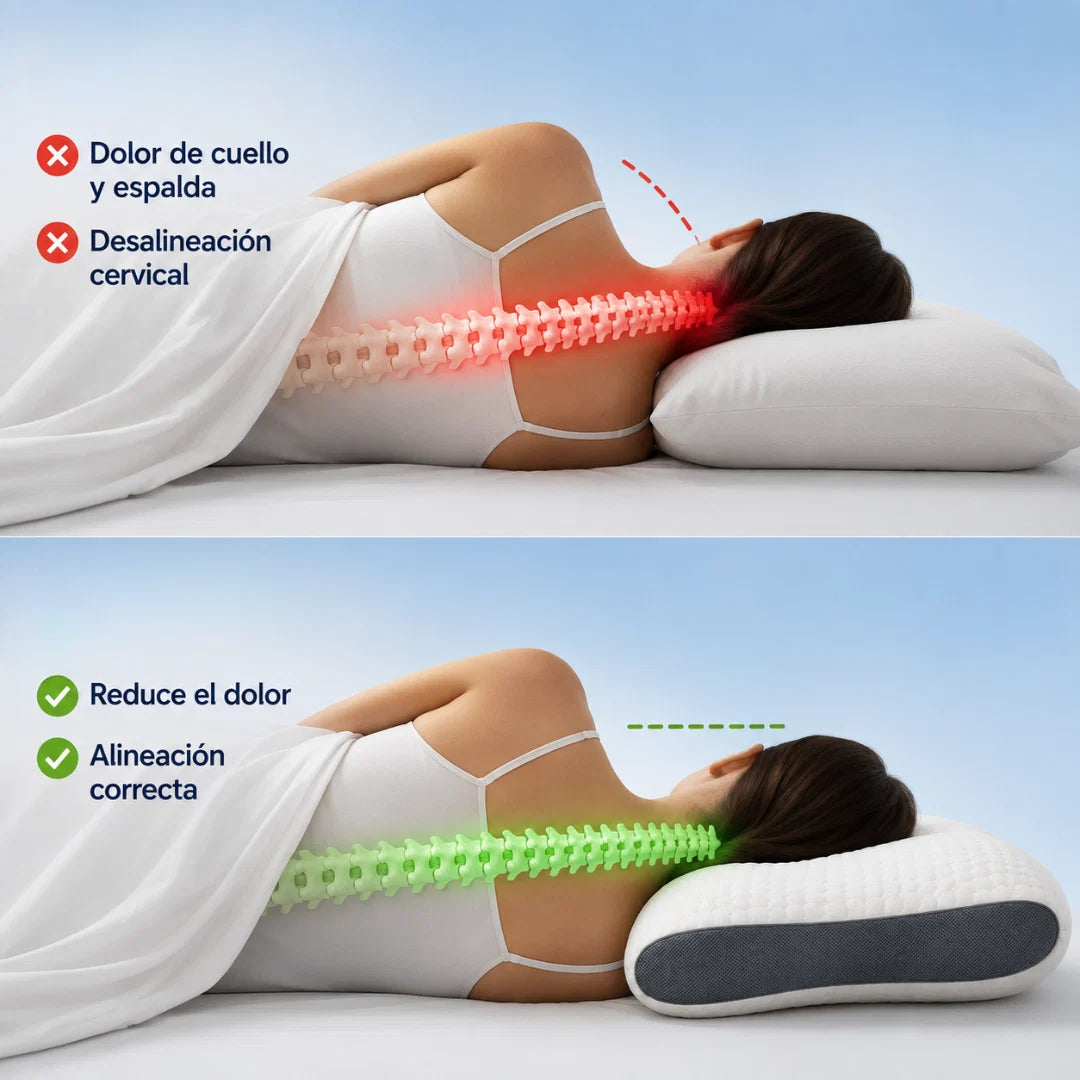 Cervella -Almohada para 8 horas que tu analgésico no cubre