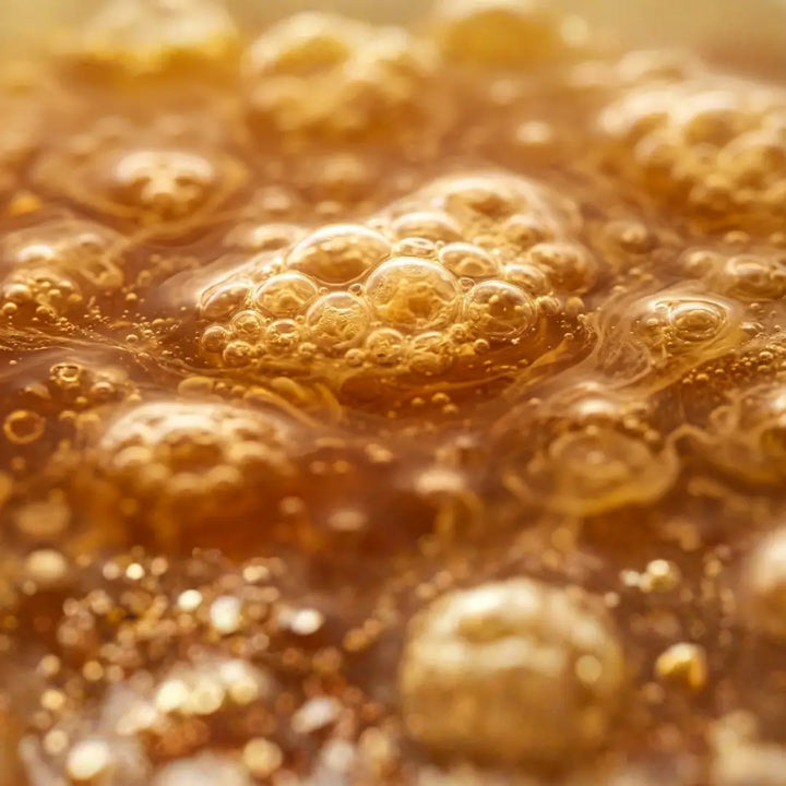 Fermentación