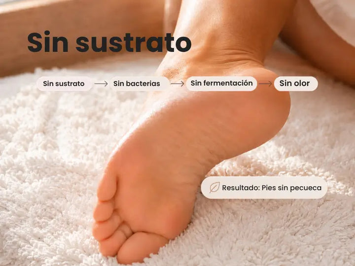🌿 Sin sustrato