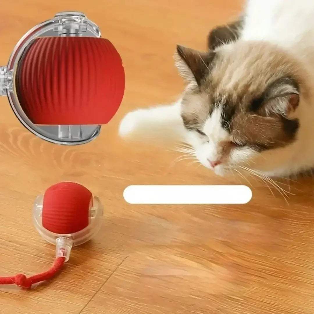 Juguete interactivo para mascotas
