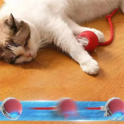 Juguete interactivo para mascotas